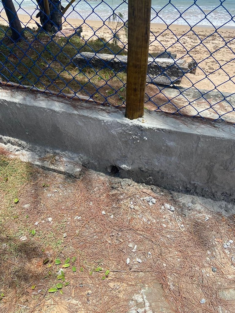 Casa ilha de Itaparica Aratuba 3