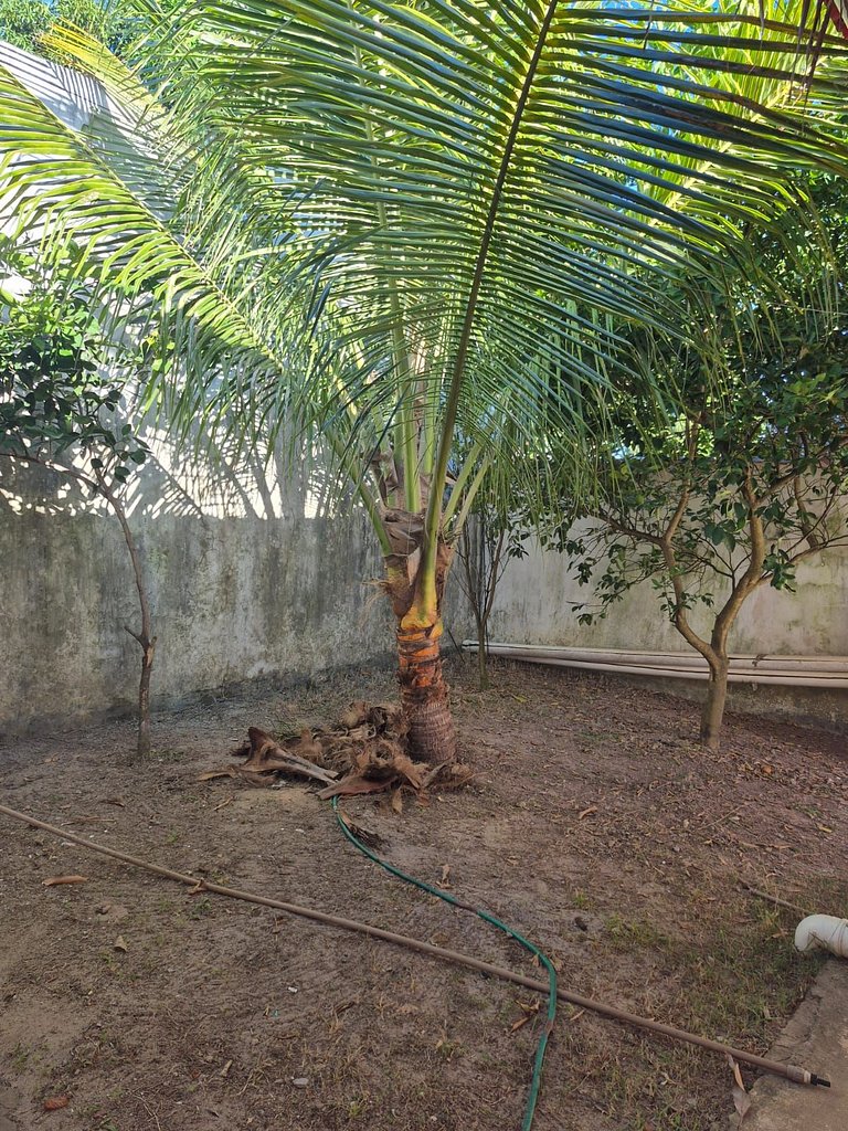Casa ilha de Itaparica Aratuba 3
